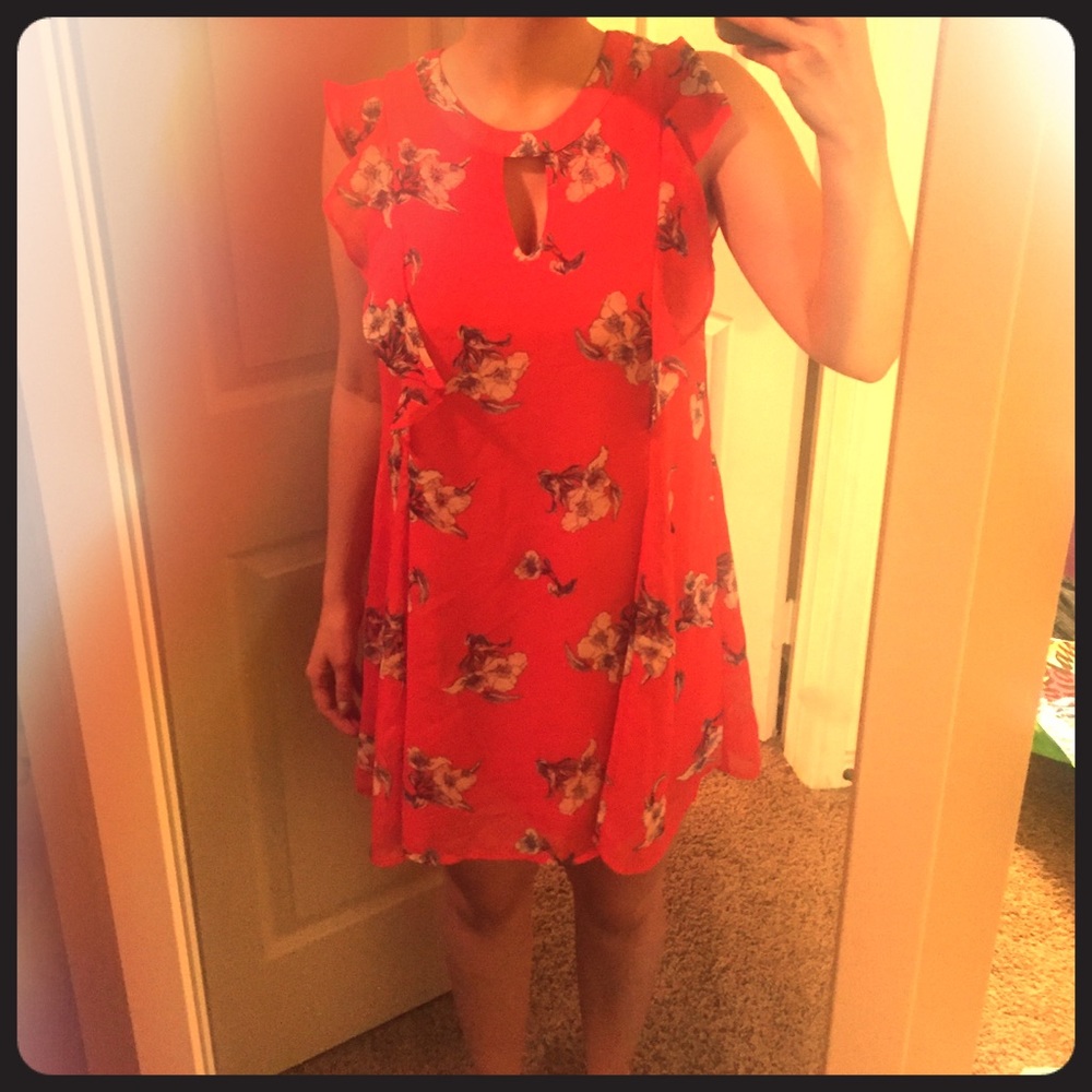 Flirty Red Poppy Dress